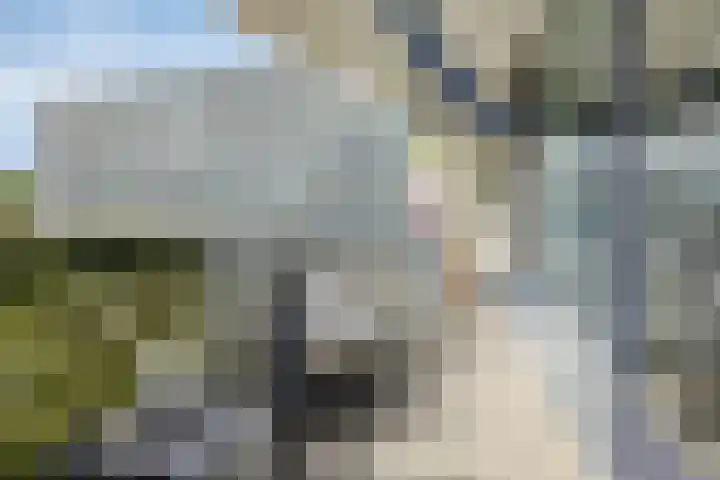Pollux 351 Veenendaal thumbnail 23