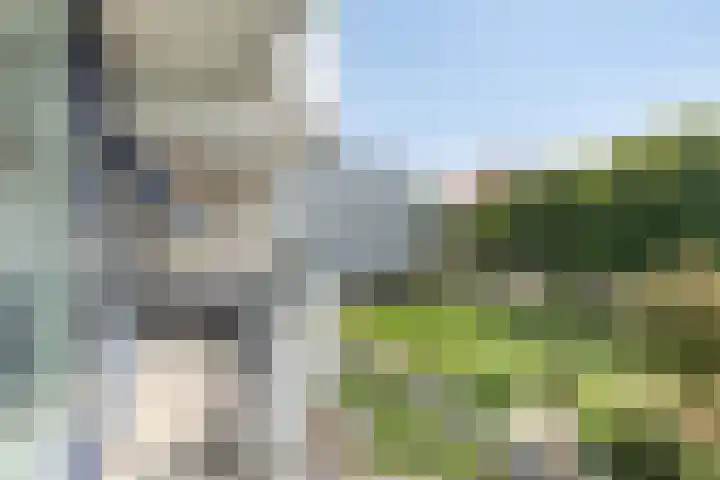 Pollux 351 Veenendaal thumbnail 24
