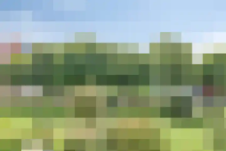 Pollux 351 Veenendaal thumbnail 25