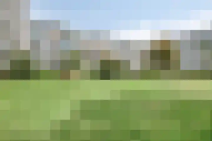 Pollux 351 Veenendaal thumbnail 4