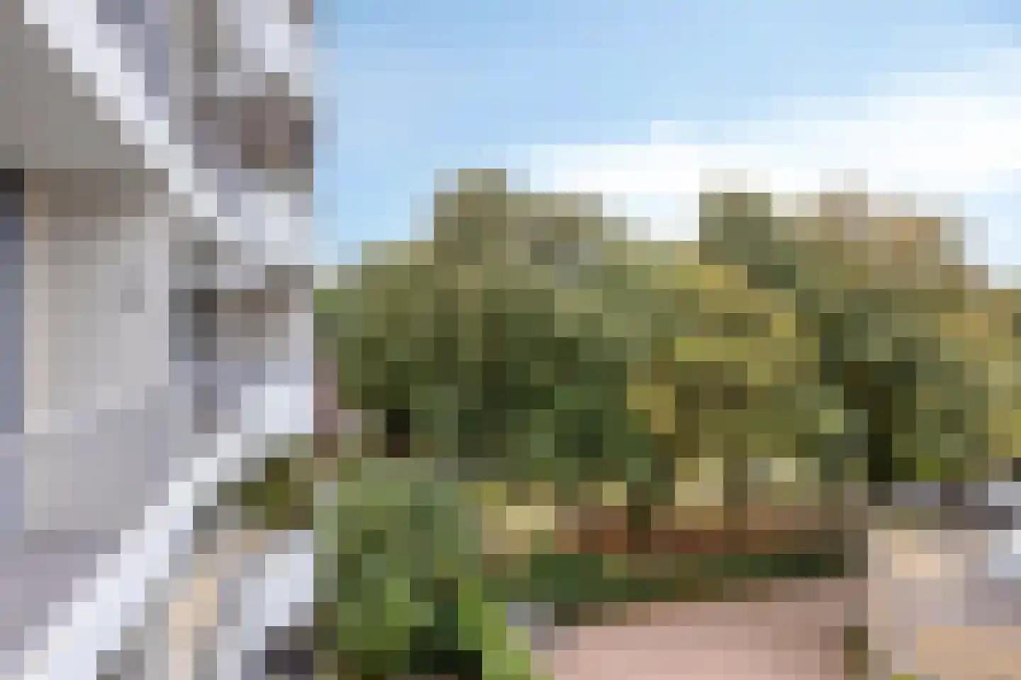 Pollux 375 Veenendaal thumbnail 30