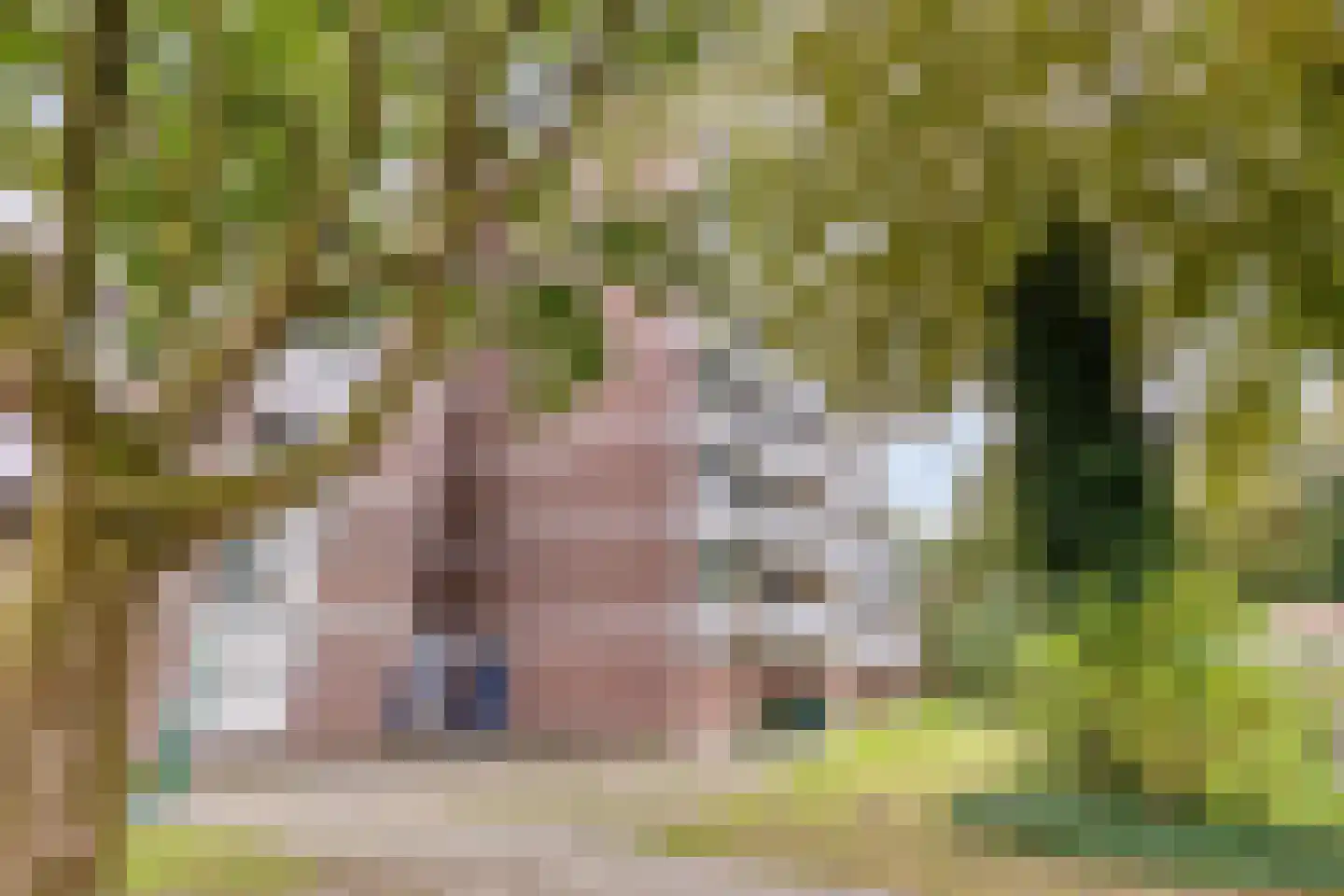Pollux 375 Veenendaal thumbnail 33