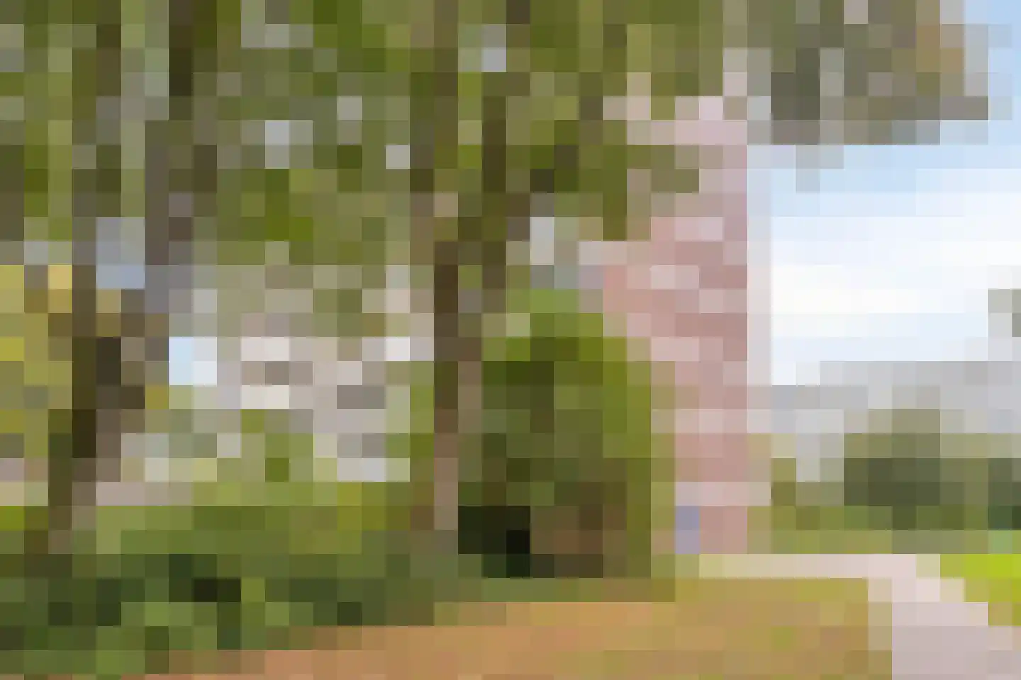 Pollux 375 Veenendaal thumbnail 34
