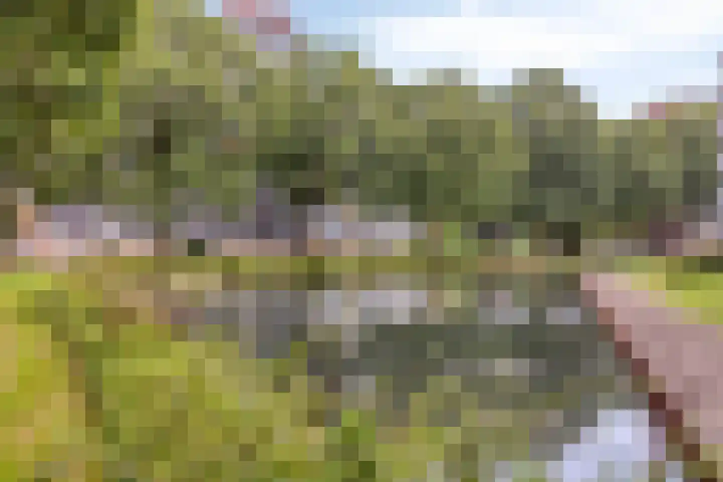 Pollux 375 Veenendaal thumbnail 39