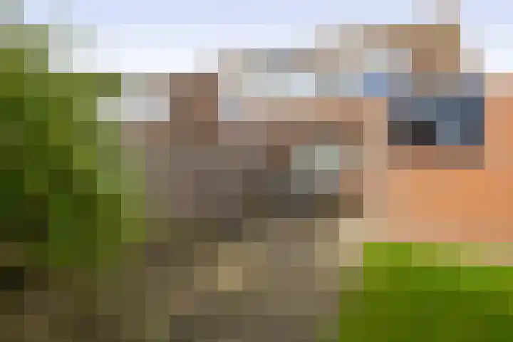 Pollux 39 Lemmer thumbnail 15