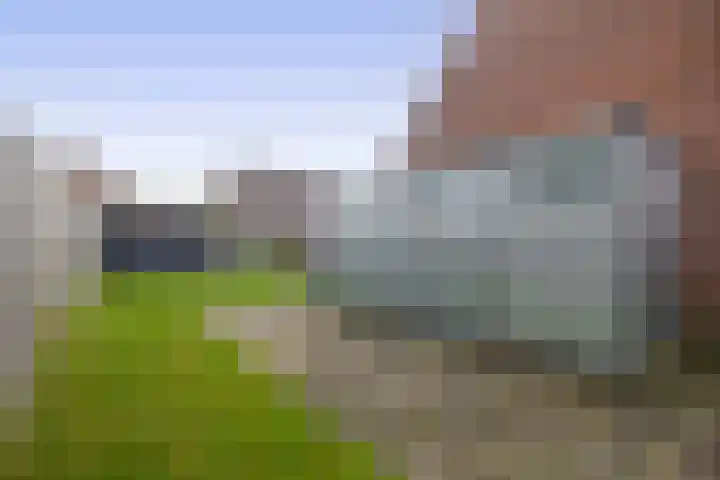 Pollux 39 Lemmer thumbnail 27