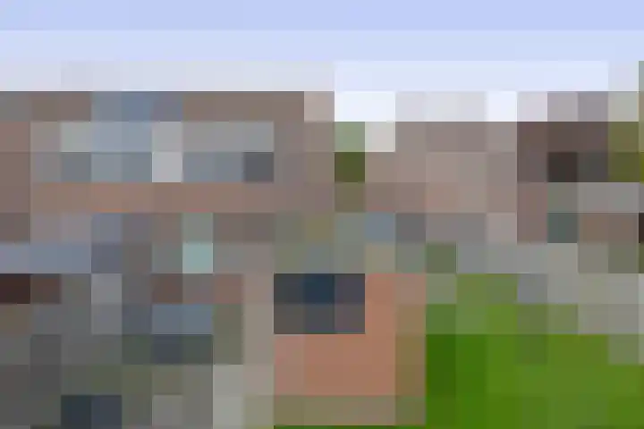 Pollux 39 Lemmer thumbnail 29