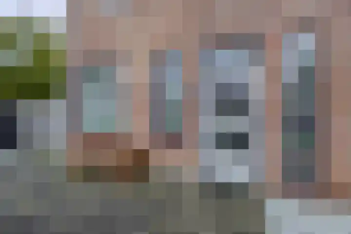 Pollux 39 Lemmer thumbnail 4