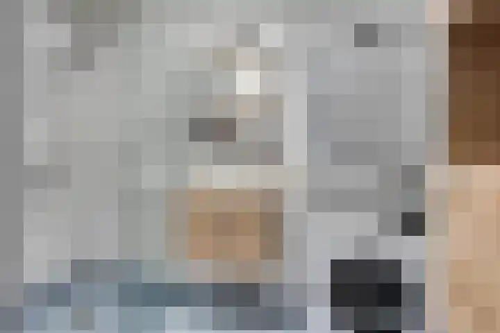 Pollux 391 Veenendaal thumbnail 13