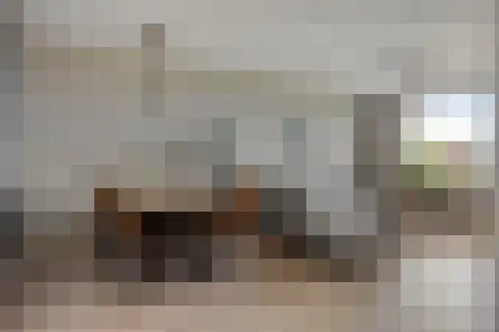 Pollux 391 Veenendaal thumbnail 15