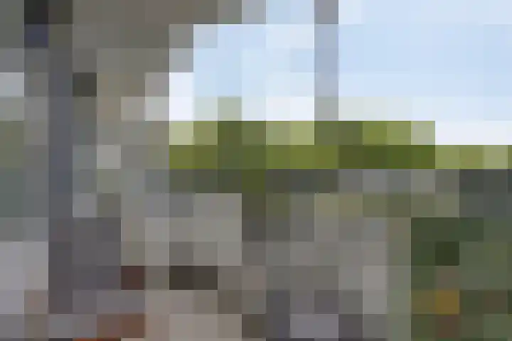 Pollux 391 Veenendaal thumbnail 23
