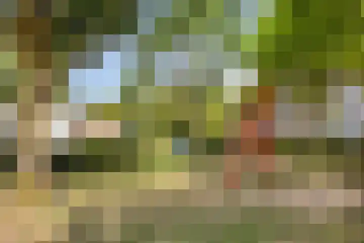 Pollux 391 Veenendaal thumbnail 26