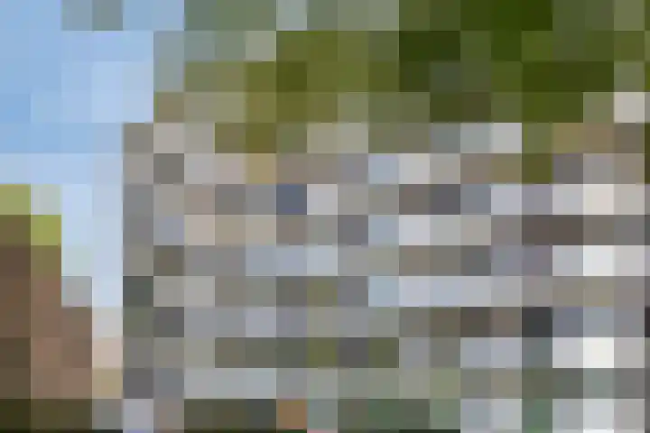Pollux 391 Veenendaal thumbnail 5