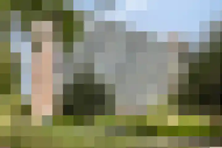 Pollux 391 Veenendaal thumbnail 6