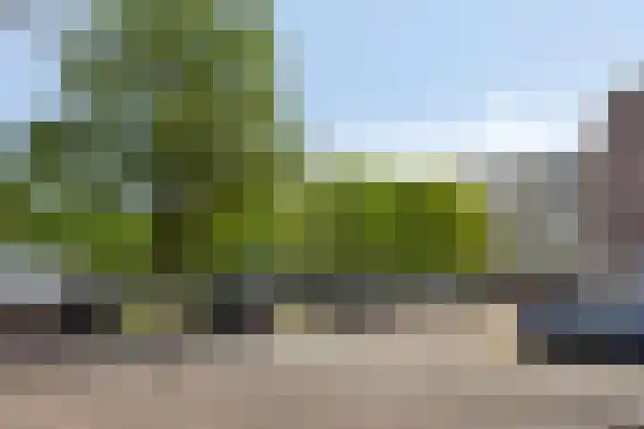 Pollux 391 Veenendaal thumbnail 7
