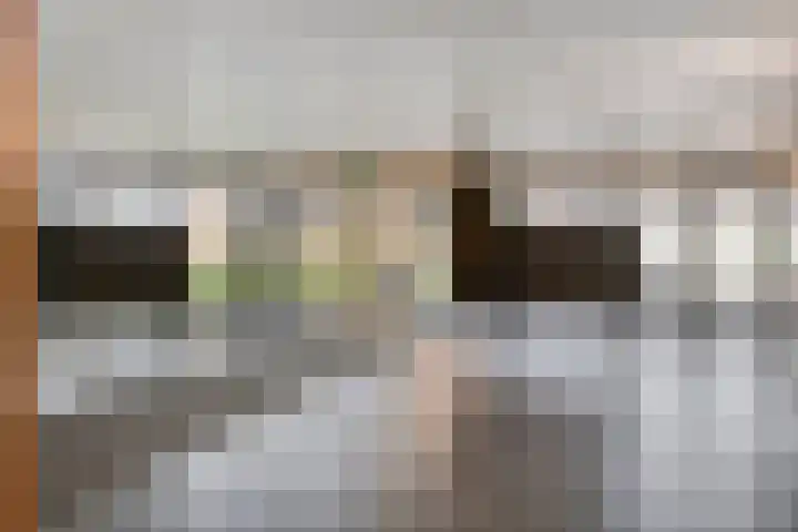 Pollux 391 Veenendaal thumbnail 8
