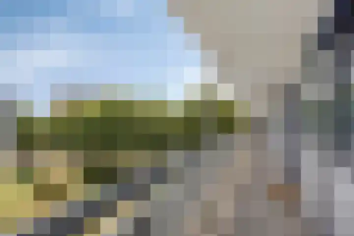 Pollux 391 Veenendaal thumbnail 9