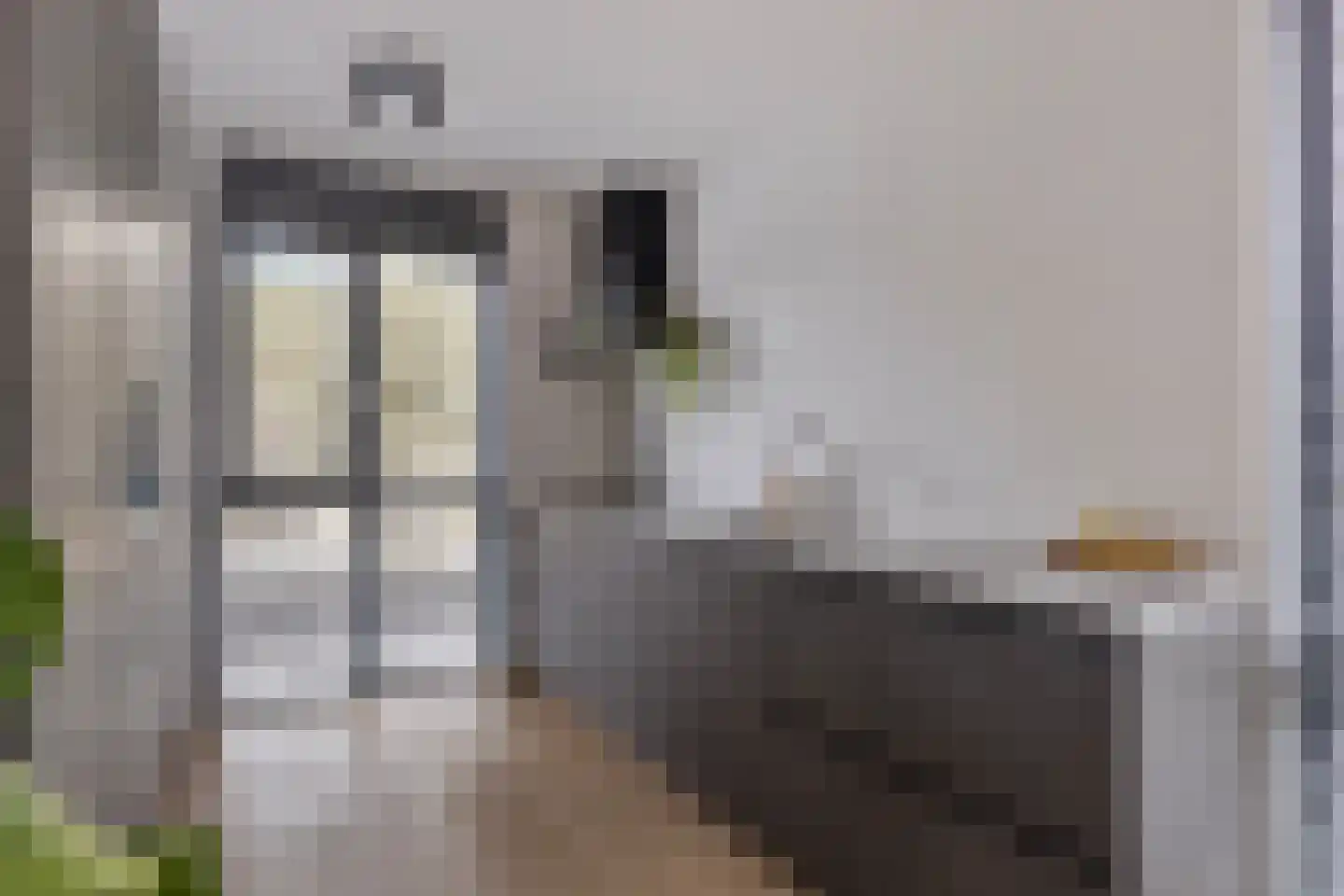 Pollux 4 D Veenendaal thumbnail 10