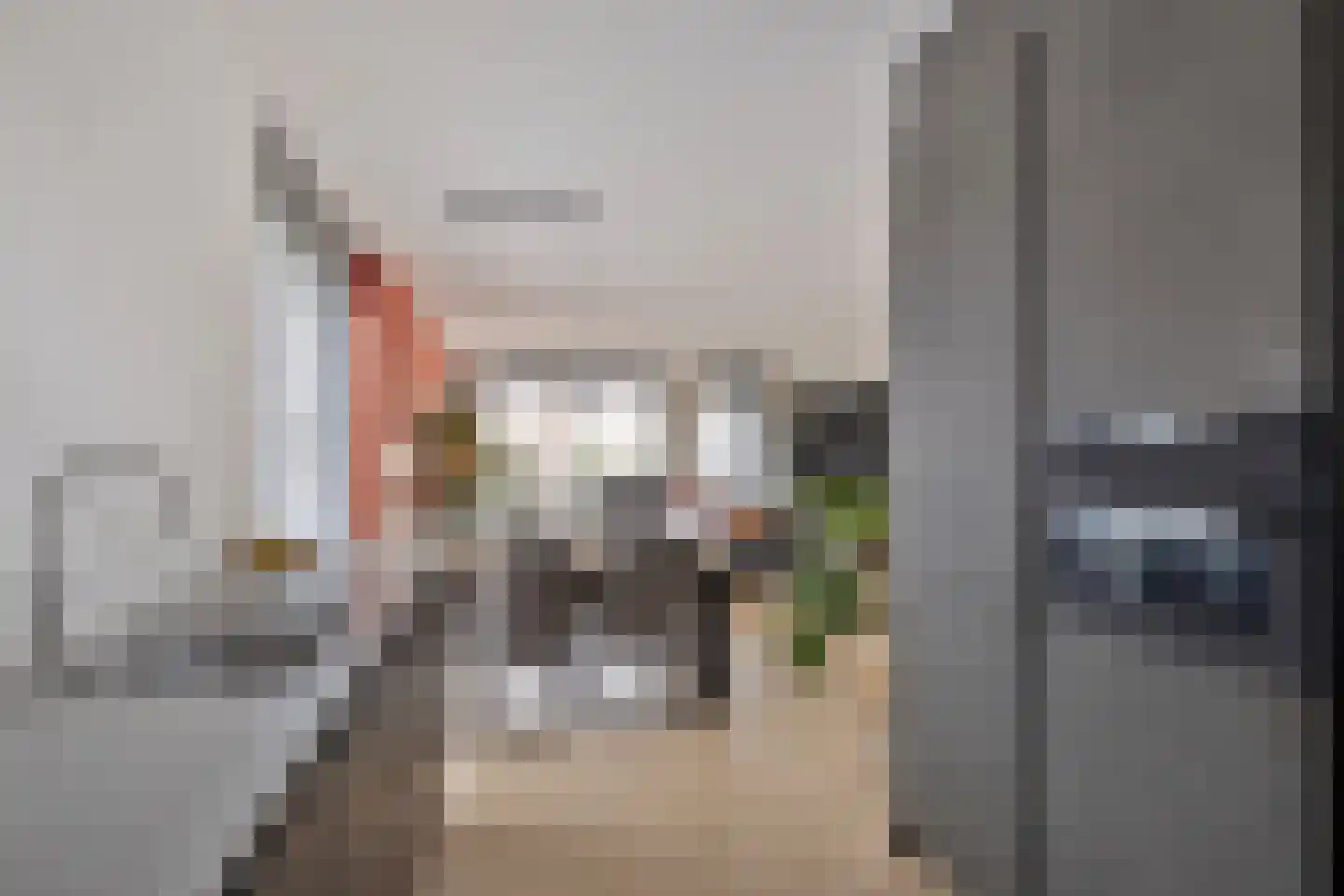 Pollux 4 D Veenendaal thumbnail 12