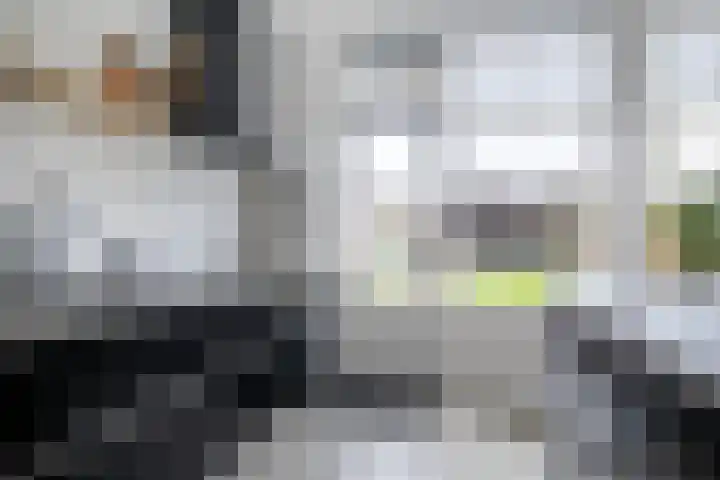 Pollux 41 Veenendaal thumbnail 16