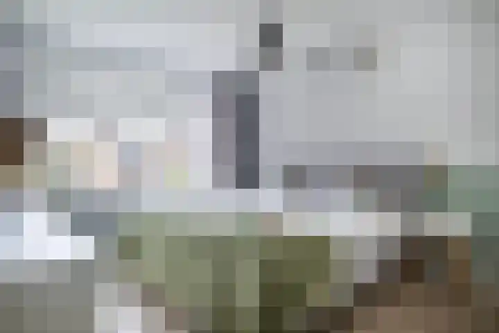Pollux 41 Veenendaal thumbnail 20