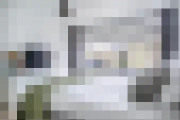Pollux 41 Veenendaal thumbnail 23
