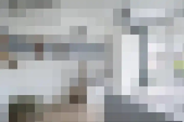 Pollux 41 Veenendaal thumbnail 31