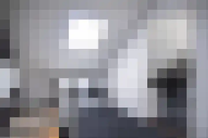Pollux 41 Veenendaal thumbnail 33
