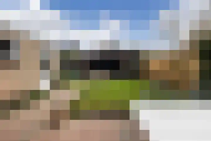 Pollux 41 Veenendaal thumbnail 37