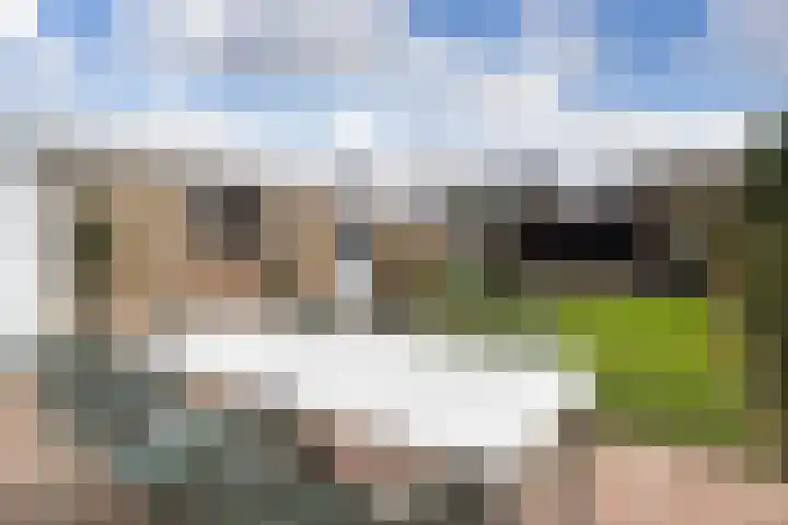 Pollux 41 Veenendaal thumbnail 38