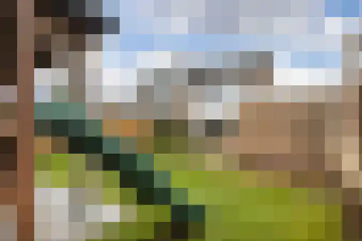 Pollux 41 Veenendaal thumbnail 42