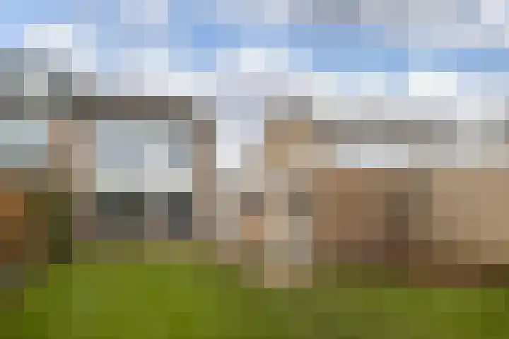 Pollux 41 Veenendaal thumbnail 43