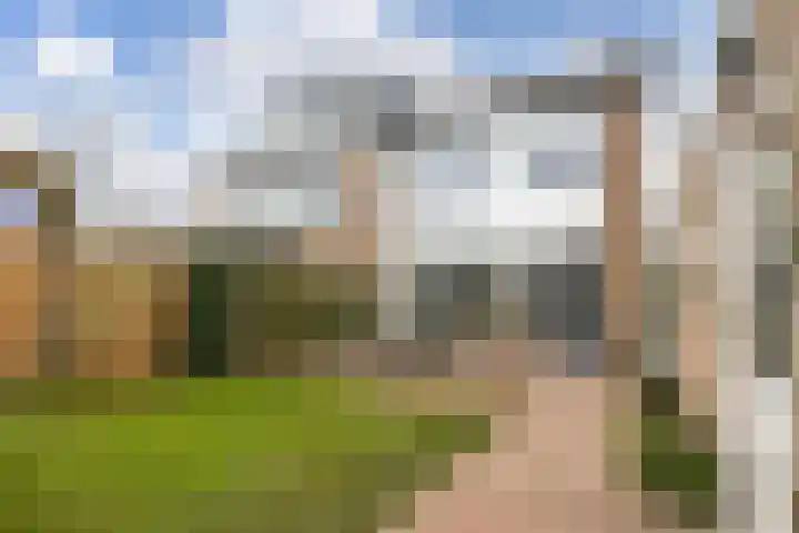 Pollux 41 Veenendaal thumbnail 44