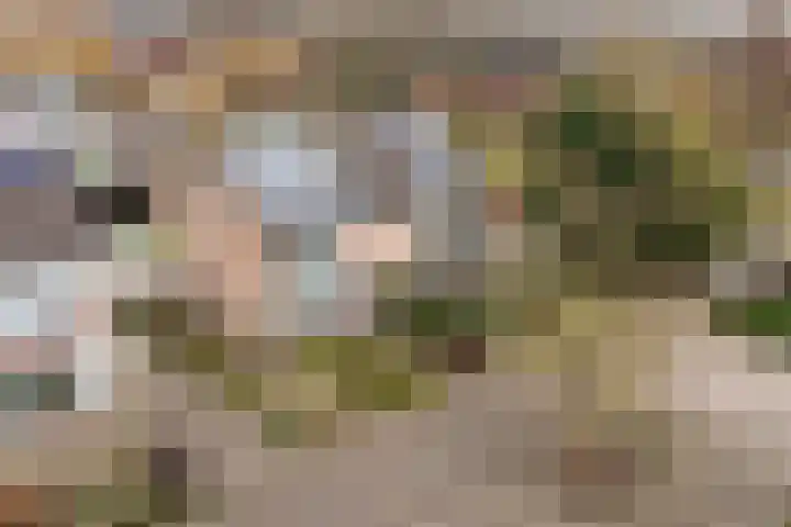 Pollux 41 Veenendaal thumbnail 47
