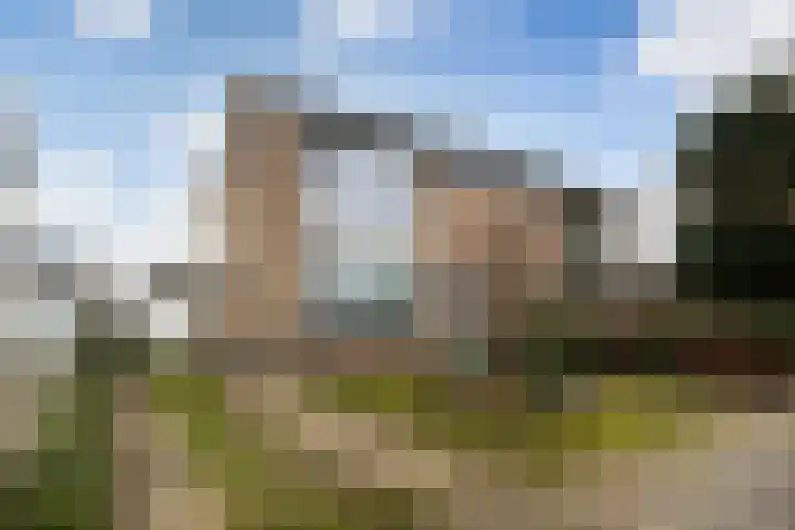 Pollux 41 Veenendaal thumbnail 5