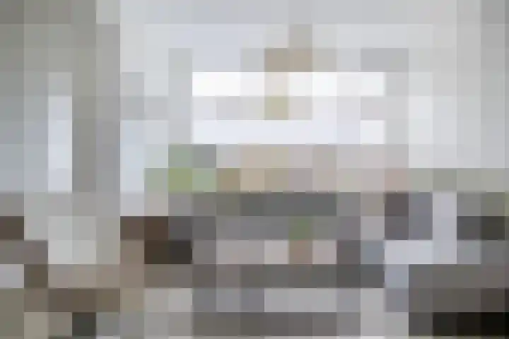 Pollux 41 Veenendaal thumbnail 6