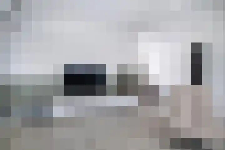 Pollux 41 Veenendaal thumbnail 7