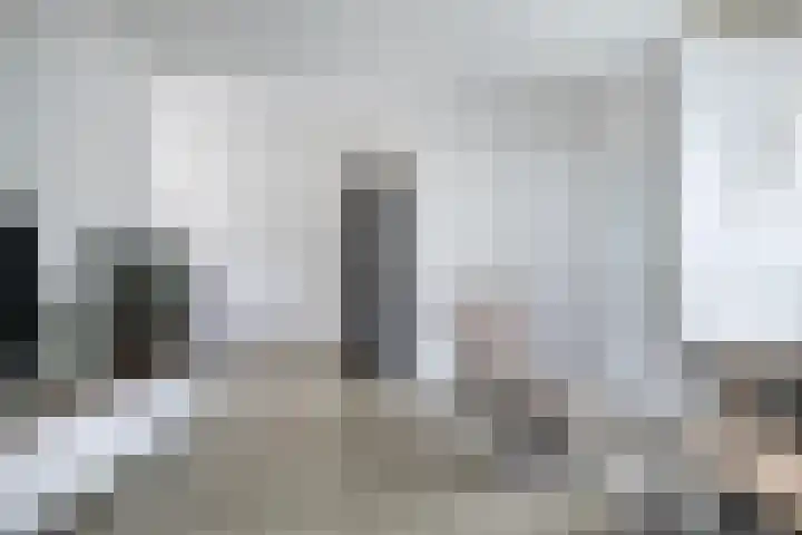 Pollux 41 Veenendaal thumbnail 8