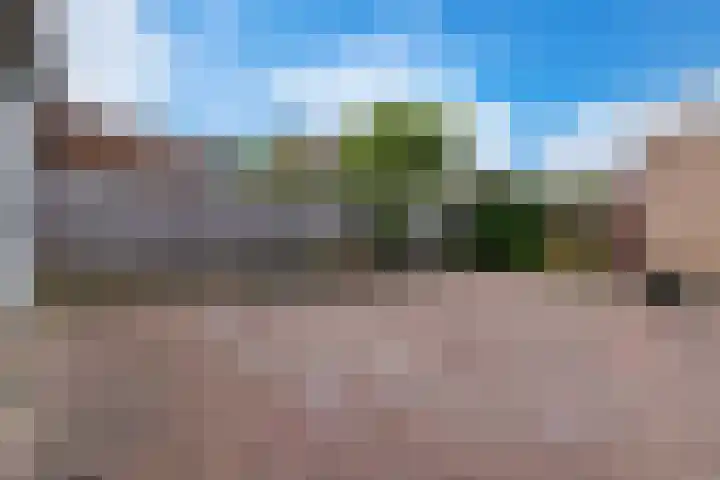 Pollux 58 Veenendaal thumbnail 31