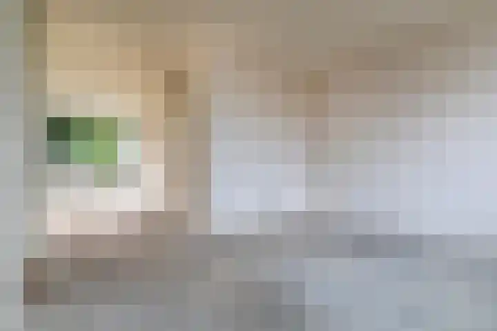 Pollux 58 Veenendaal thumbnail 6