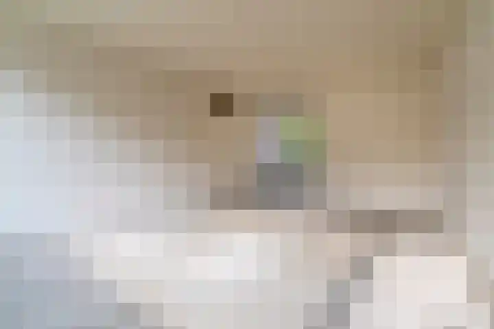 Pollux 58 Veenendaal thumbnail 7