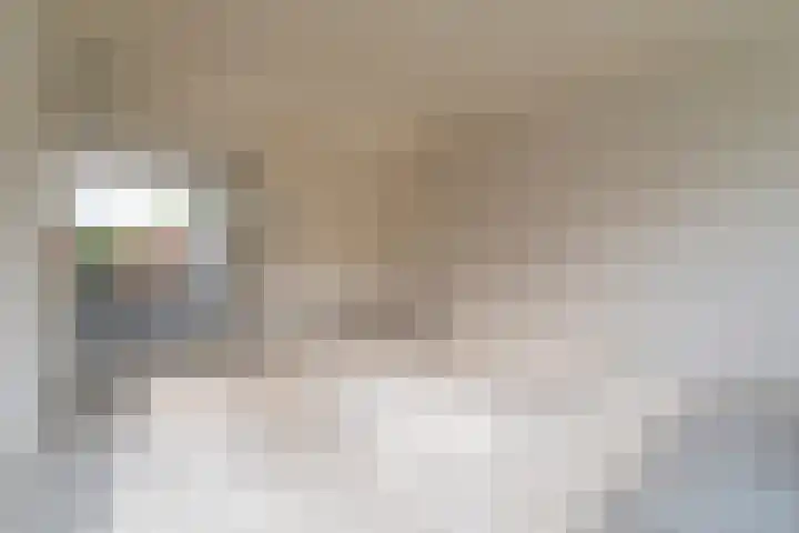 Pollux 58 Veenendaal thumbnail 8