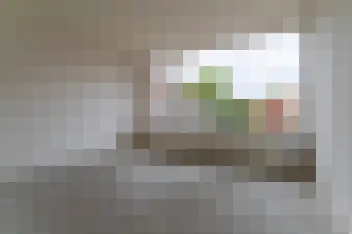 Pollux 58 Veenendaal thumbnail 9