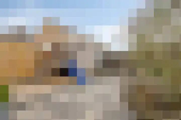 Pollux 60 Veenendaal thumbnail 26