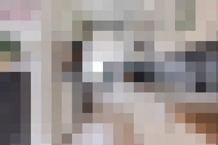Pollux 94 Berkel en Rodenrijs thumbnail 14
