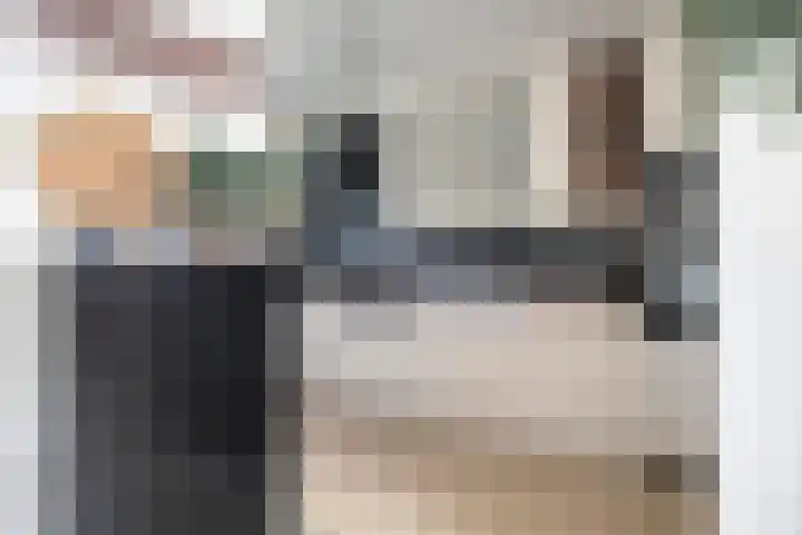 Pollux 94 Berkel en Rodenrijs thumbnail 16
