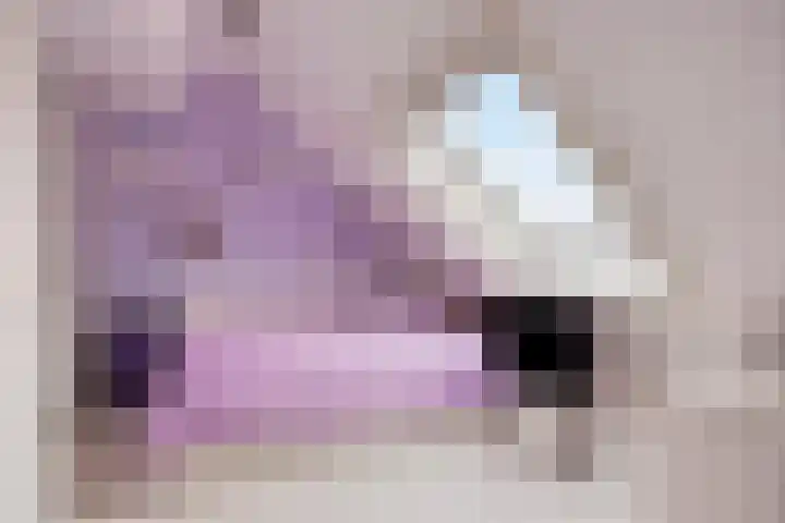 Pollux 94 Berkel en Rodenrijs thumbnail 34