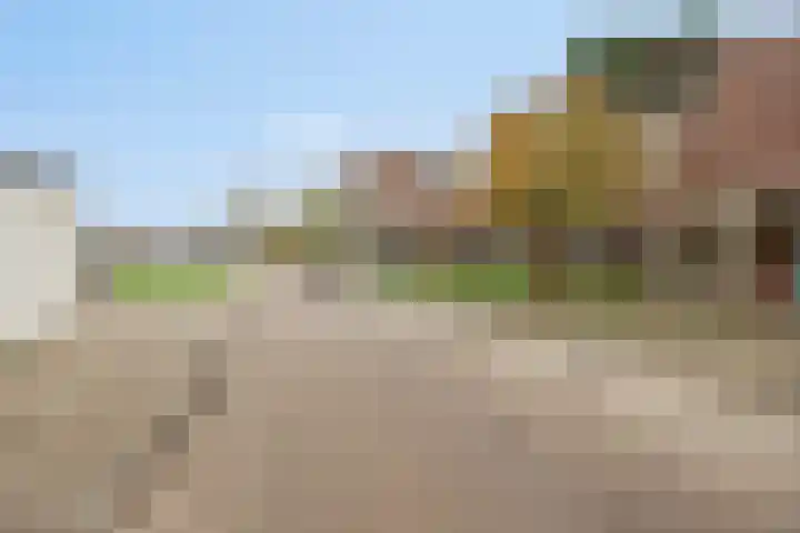 Pollux 94 Berkel en Rodenrijs thumbnail 48