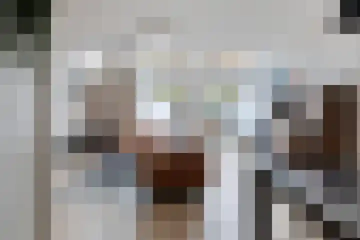 Pollux 94 Berkel en Rodenrijs thumbnail 7