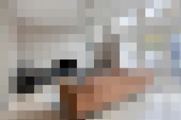 Pollux 94 Berkel en Rodenrijs thumbnail 8